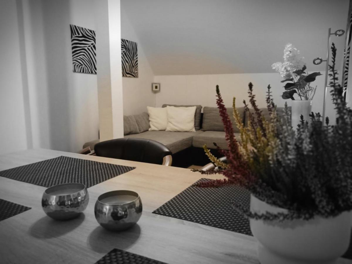 Apartments - Lehmanns Ferienwohnungen Oberwiesenthal Ngoại thất bức ảnh