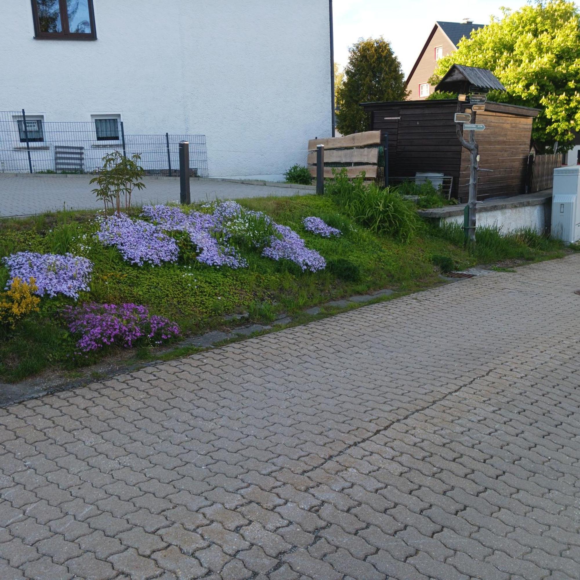 Apartments - Lehmanns Ferienwohnungen Oberwiesenthal Ngoại thất bức ảnh